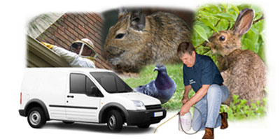 Ashton Under Lyne local van